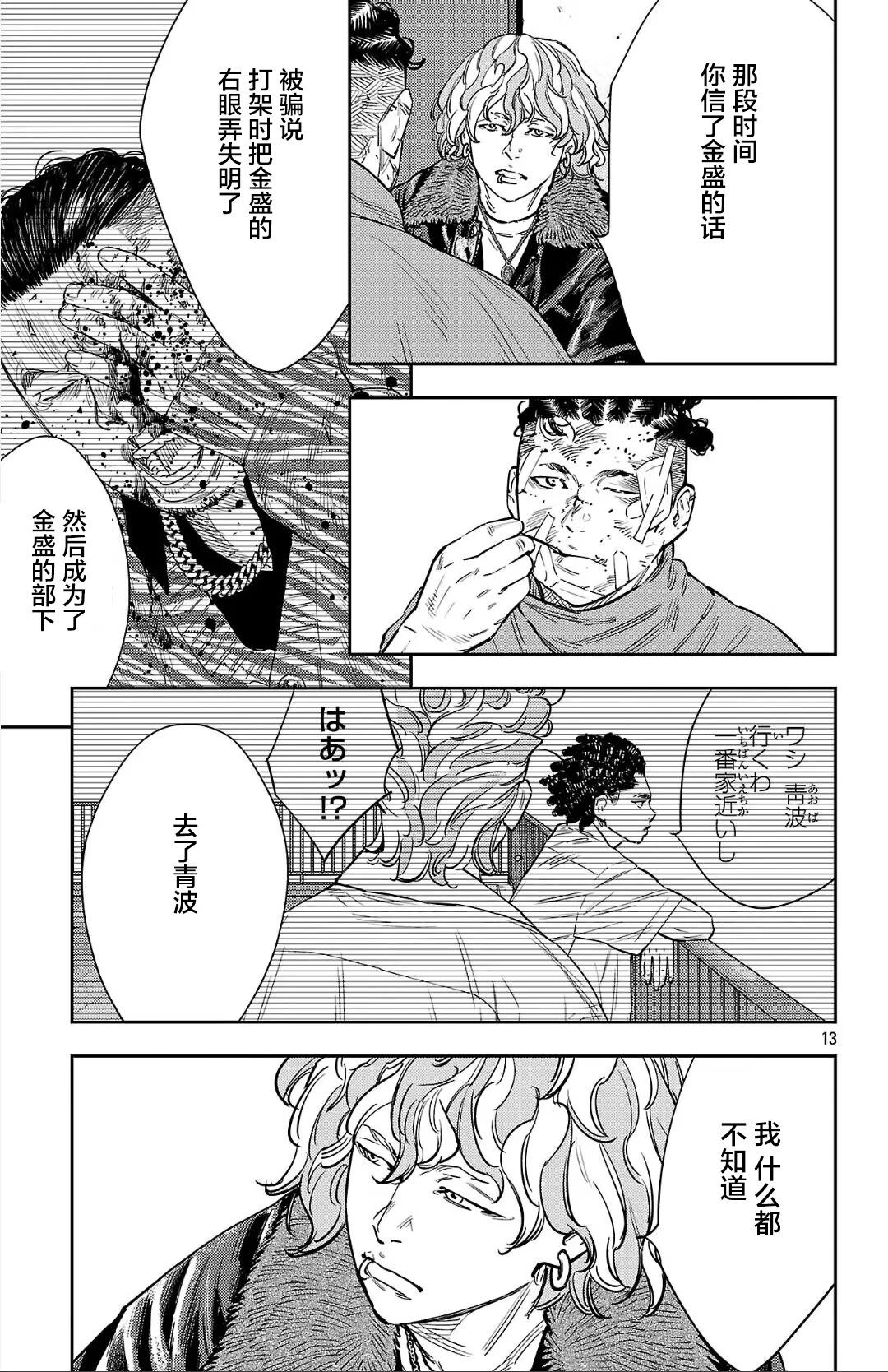 第 13 页