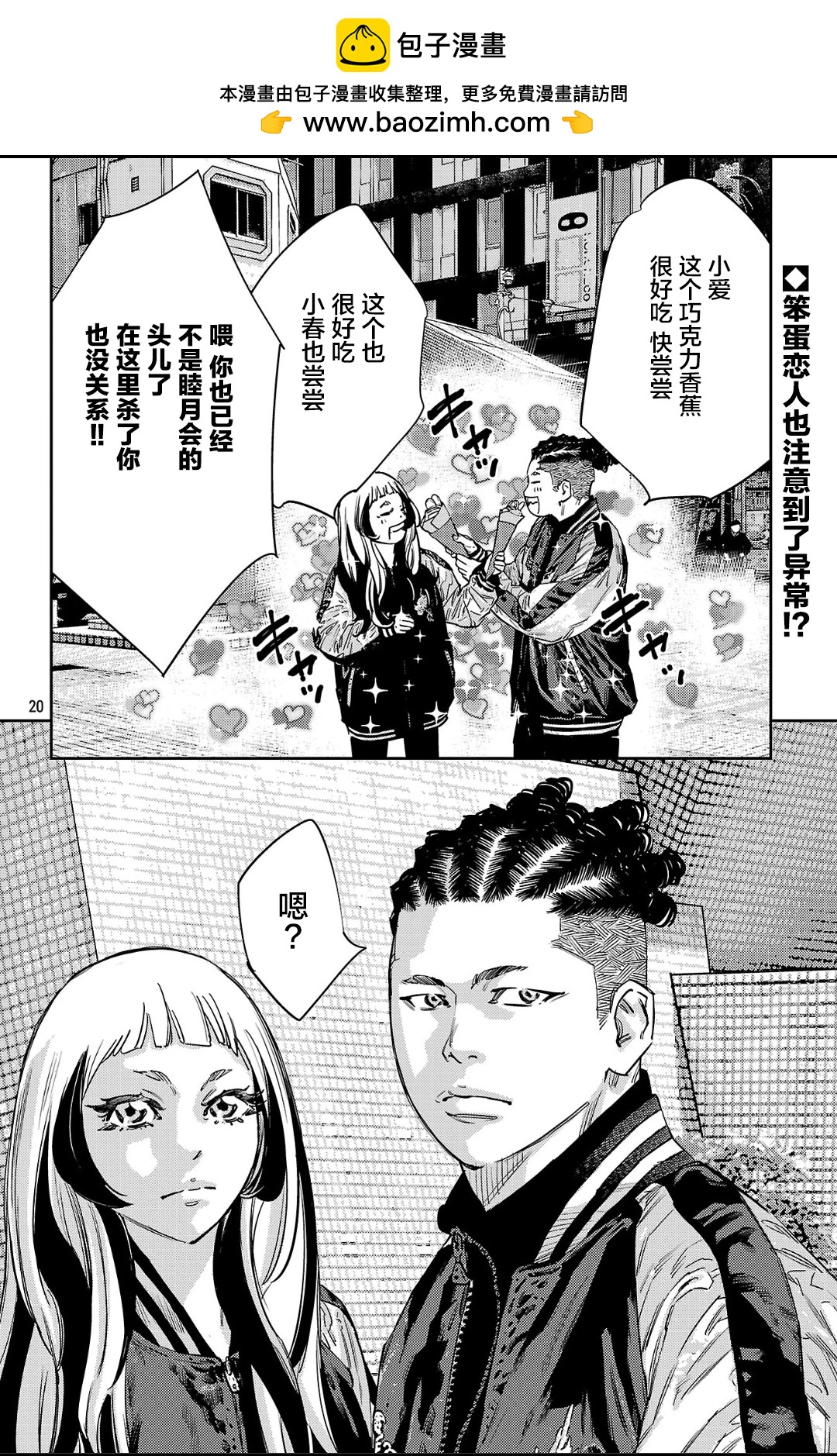 第 20 页