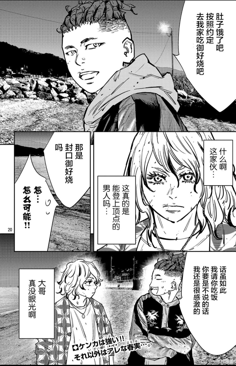 第 20 页