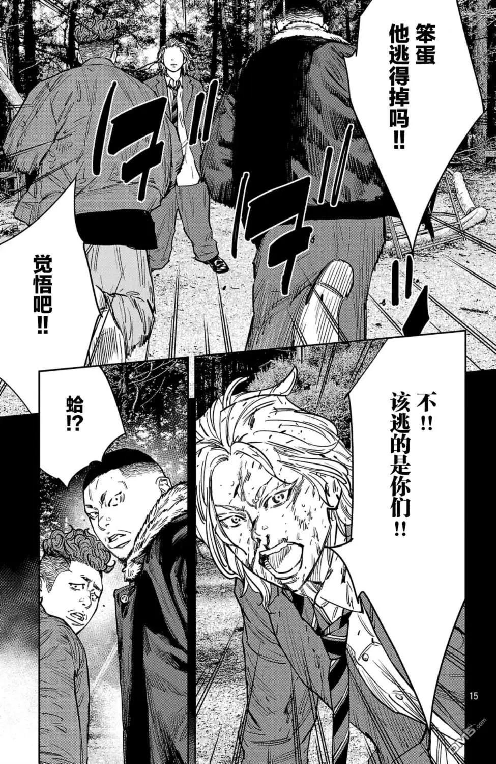 第 15 页