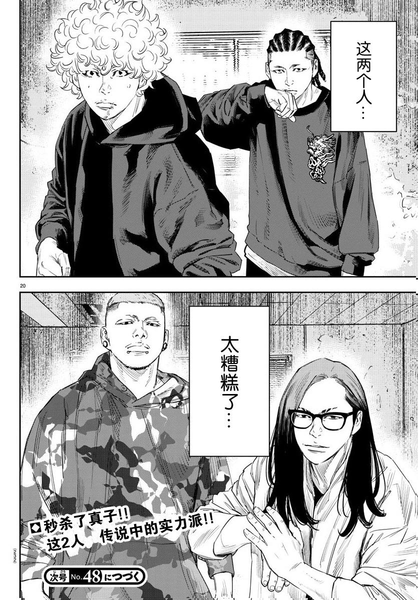 第 20 页