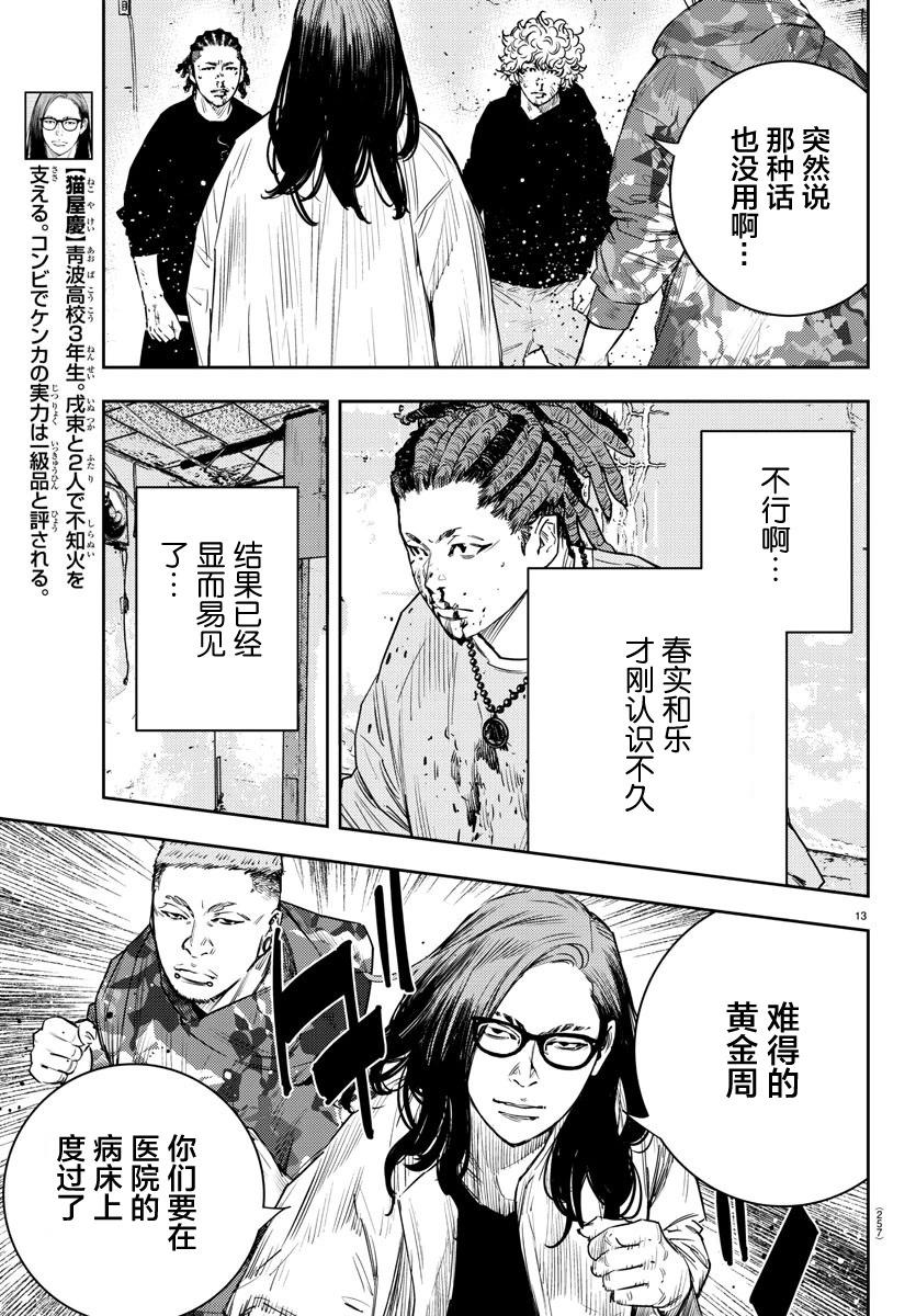 第 13 页