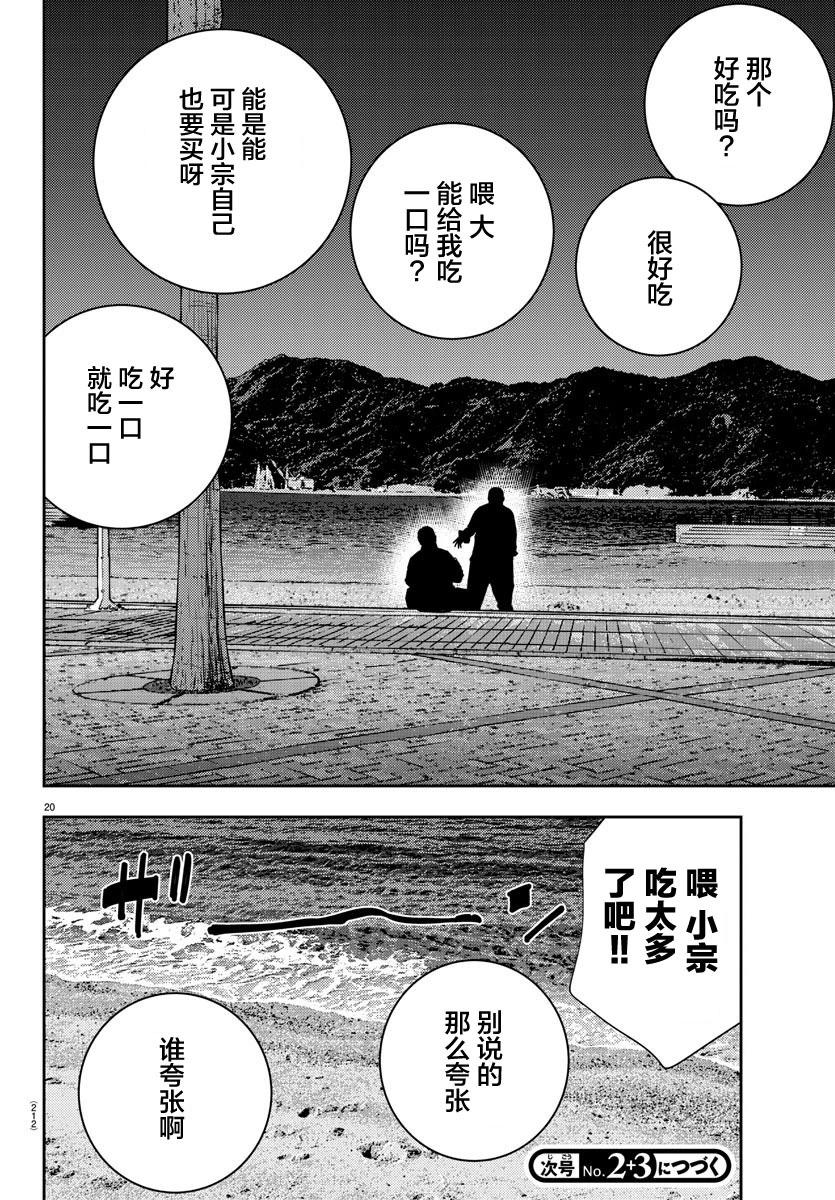 第 20 页