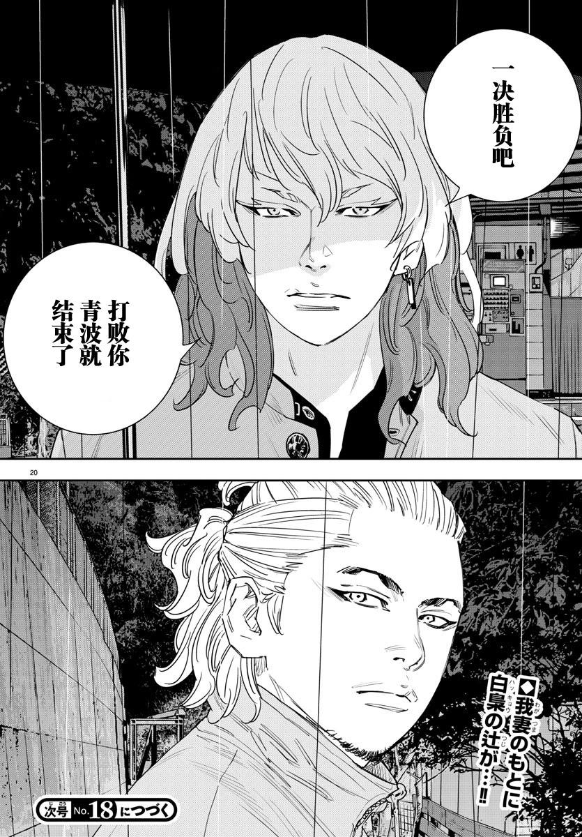 第 20 页
