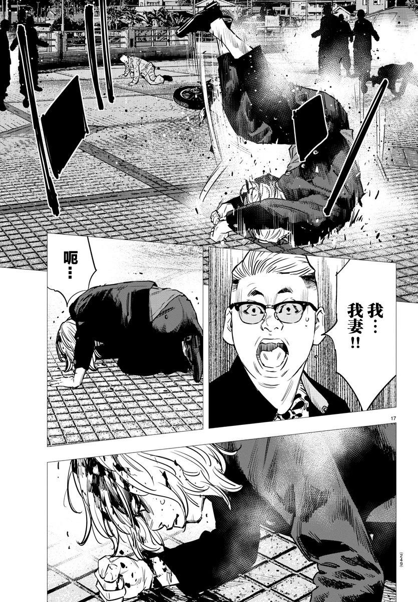 第 17 页