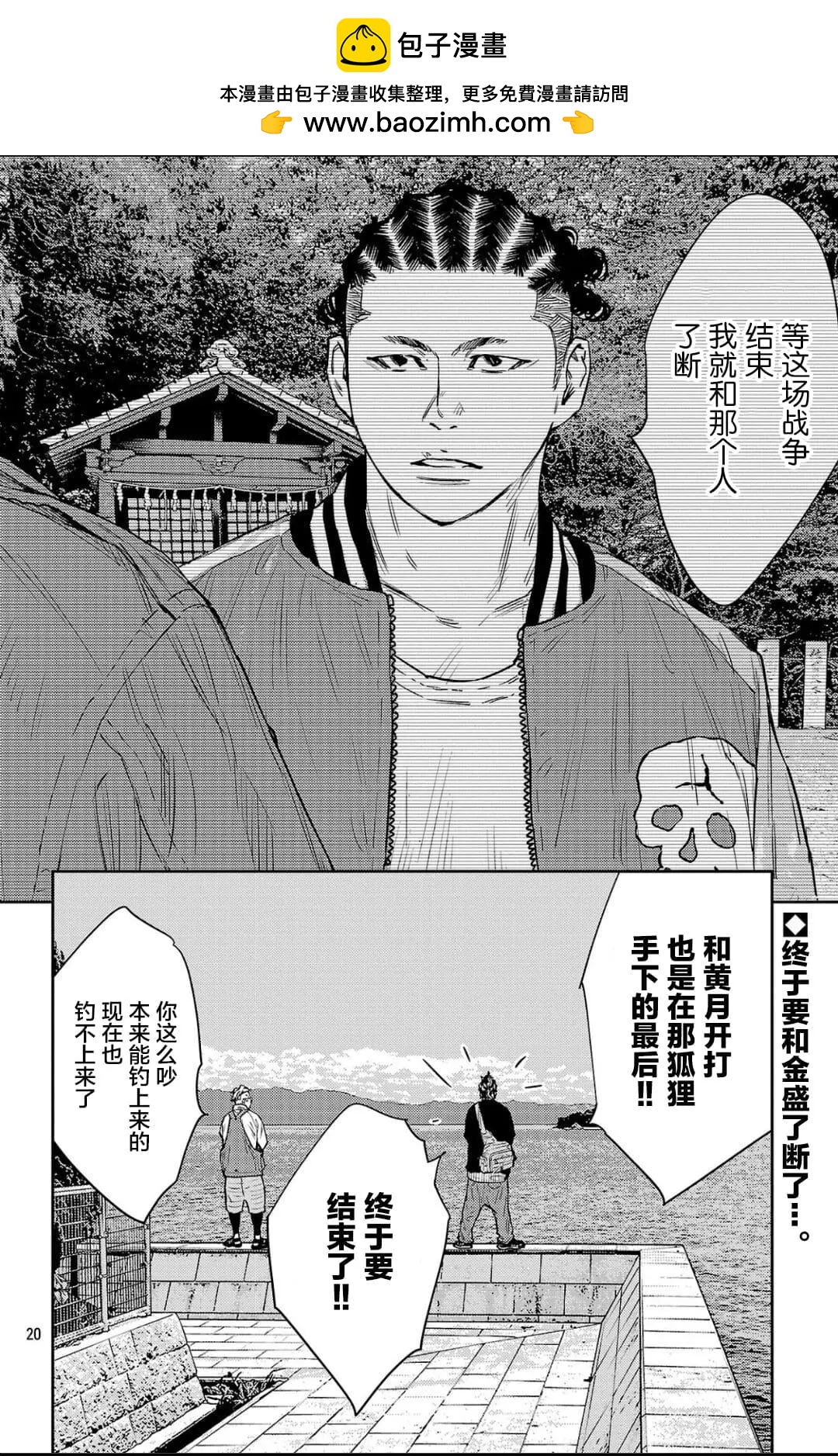 第 20 页