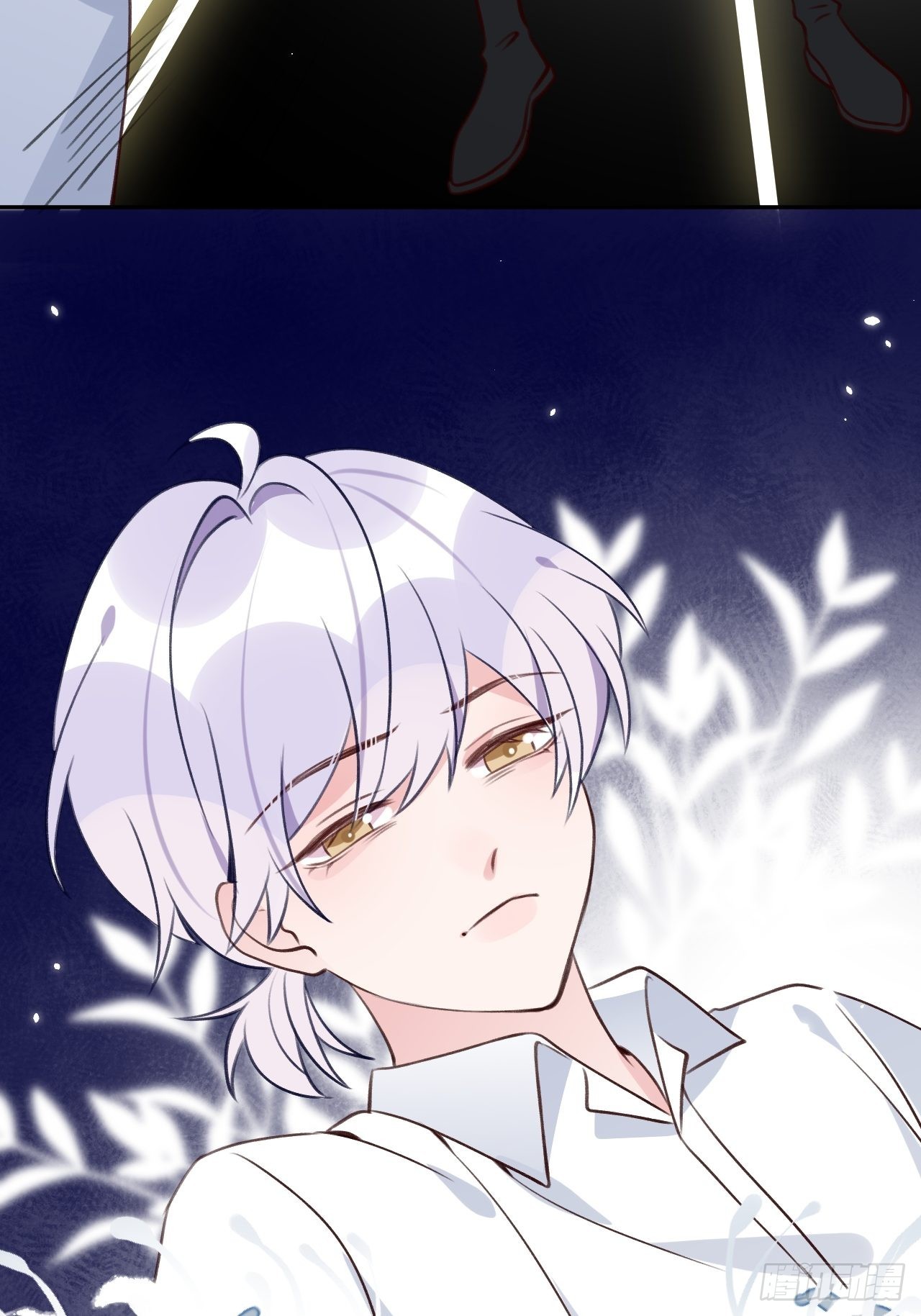 第 37 页