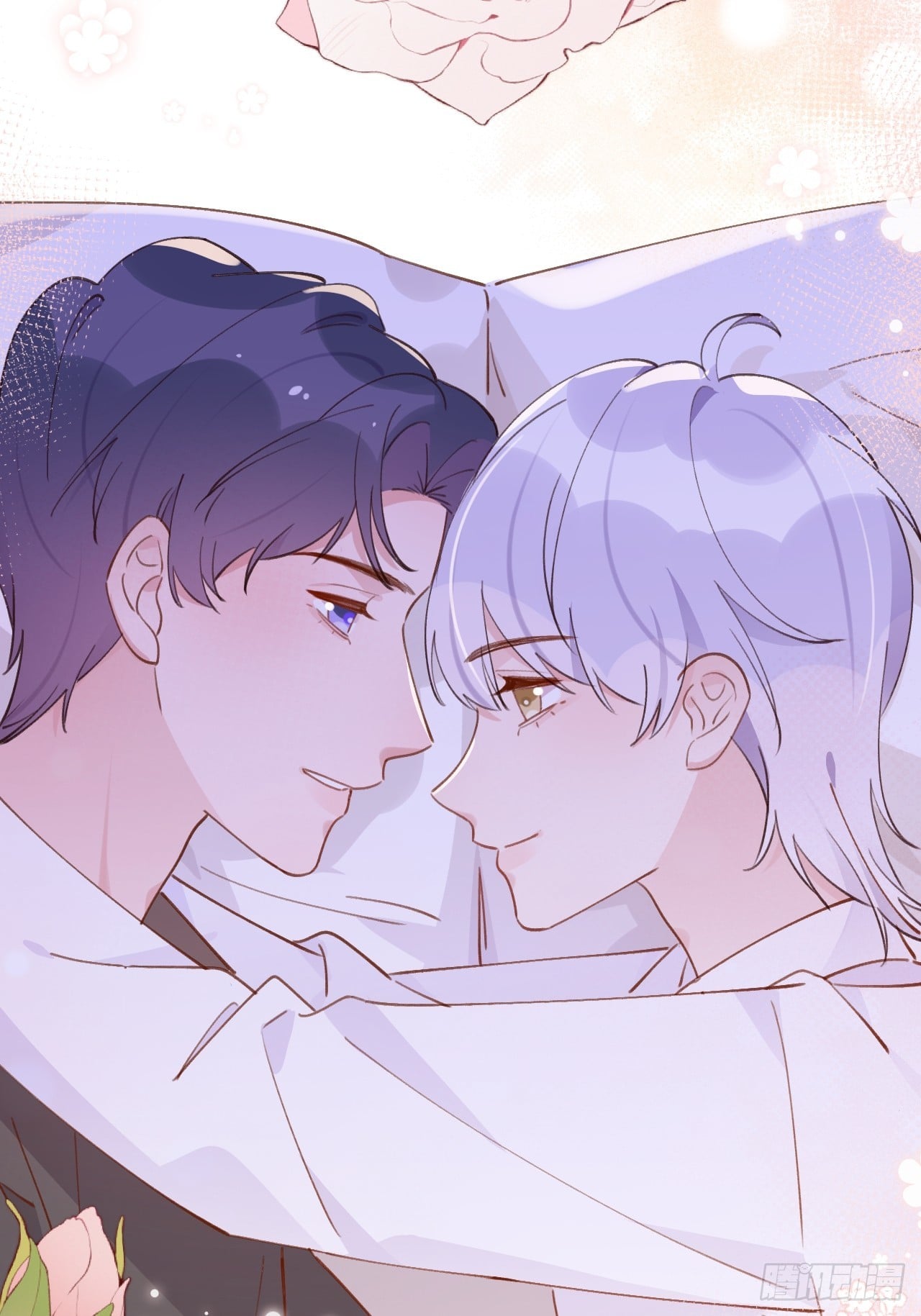 第 35 页