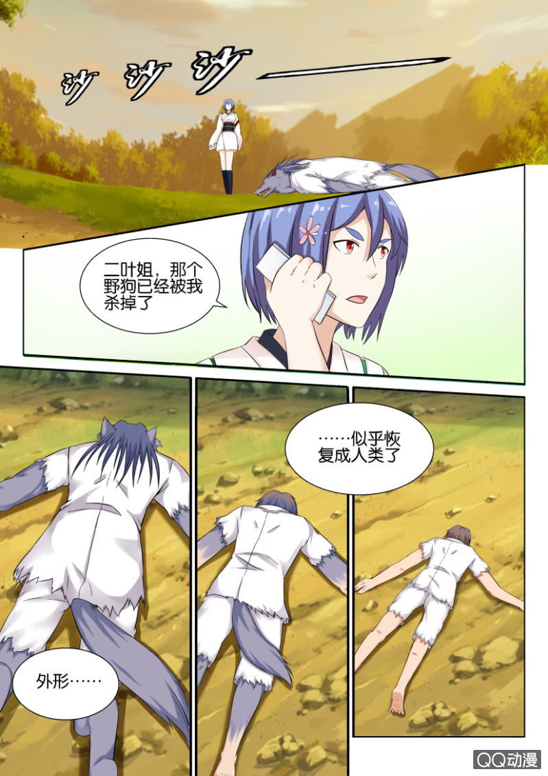 第 12 页