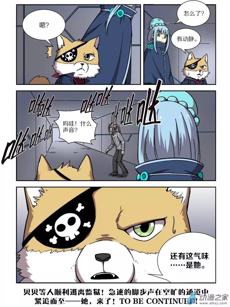 第 14 页