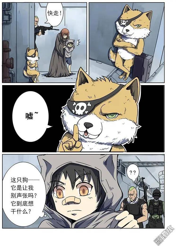 第 11 页