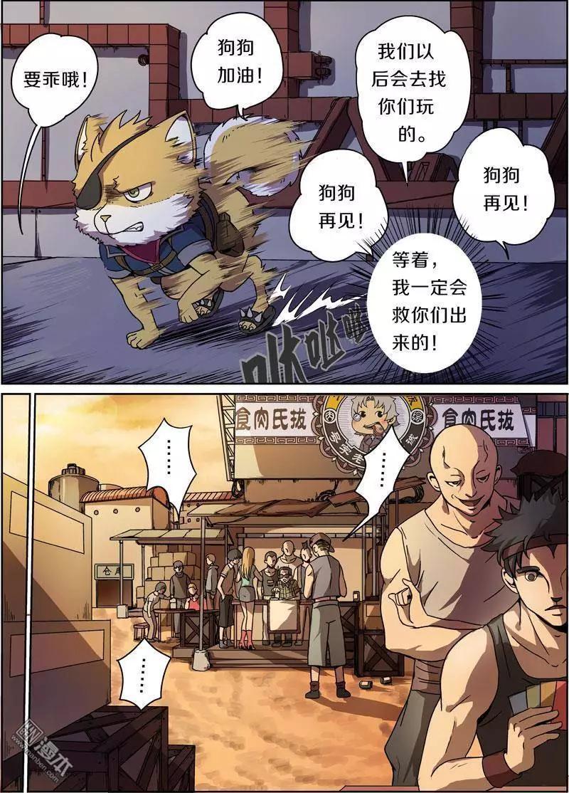 第 11 页