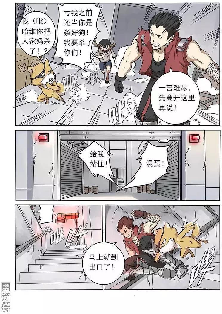 第 13 页