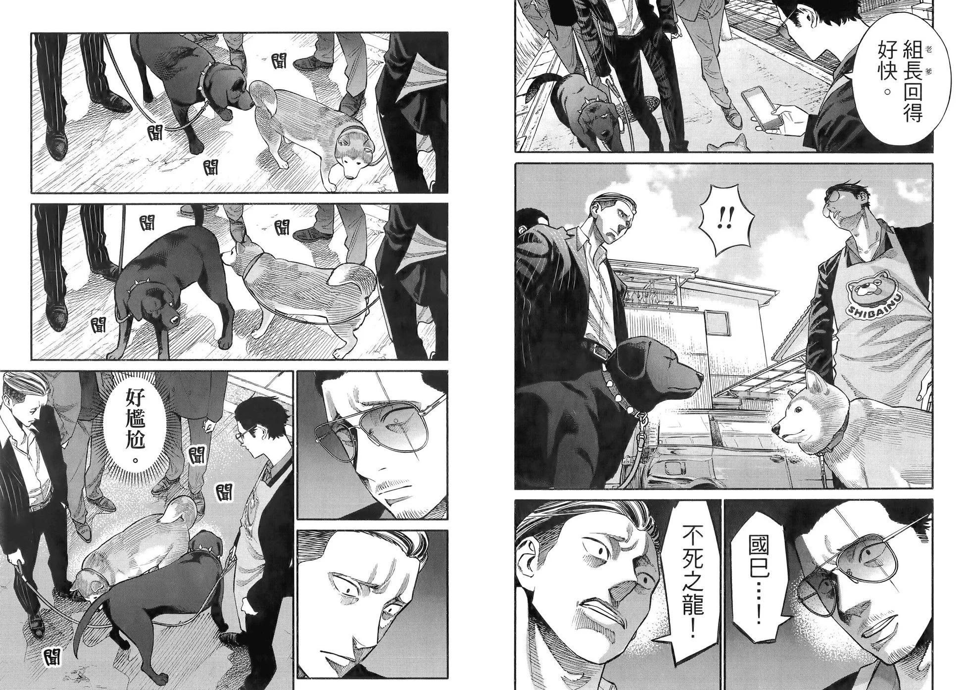 第 41 页