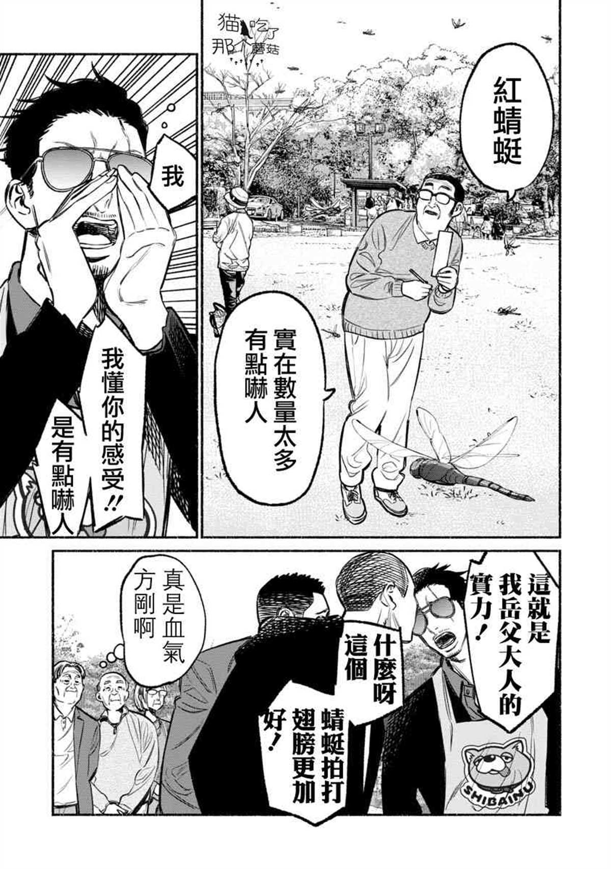 第 11 页