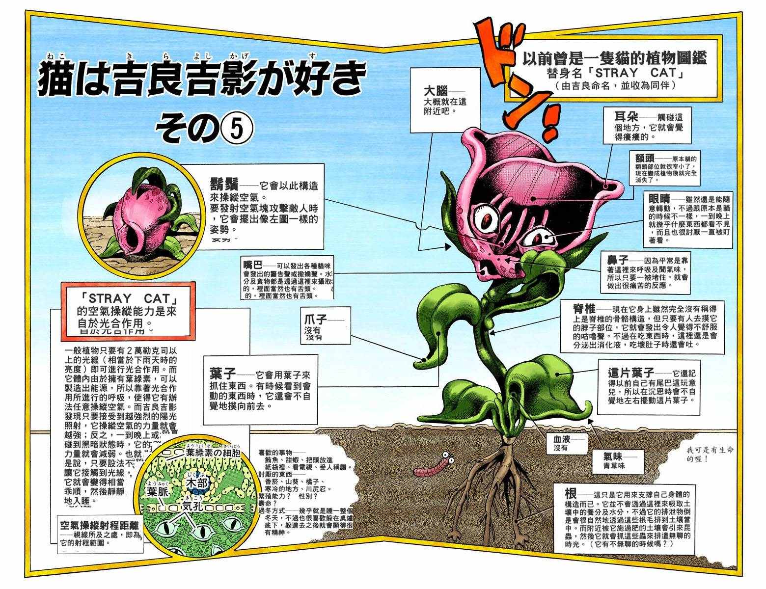 第 63 页
