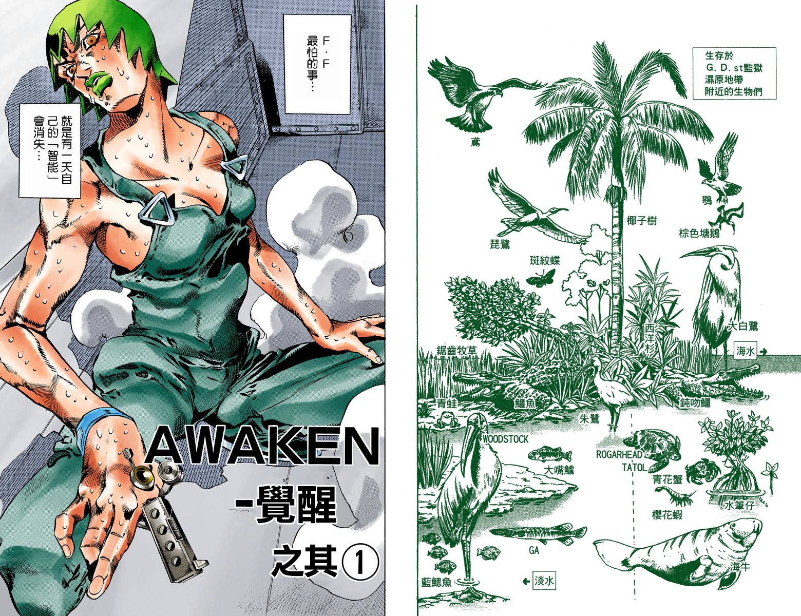 第 36 页