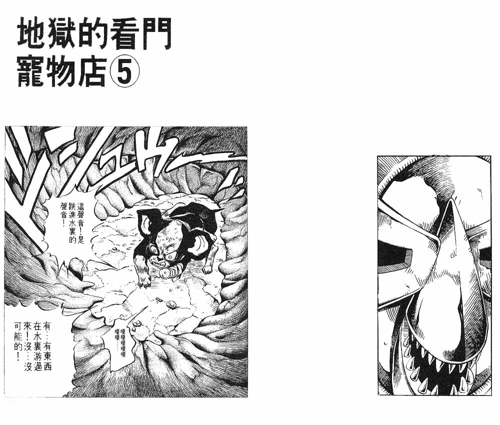 第 66 页