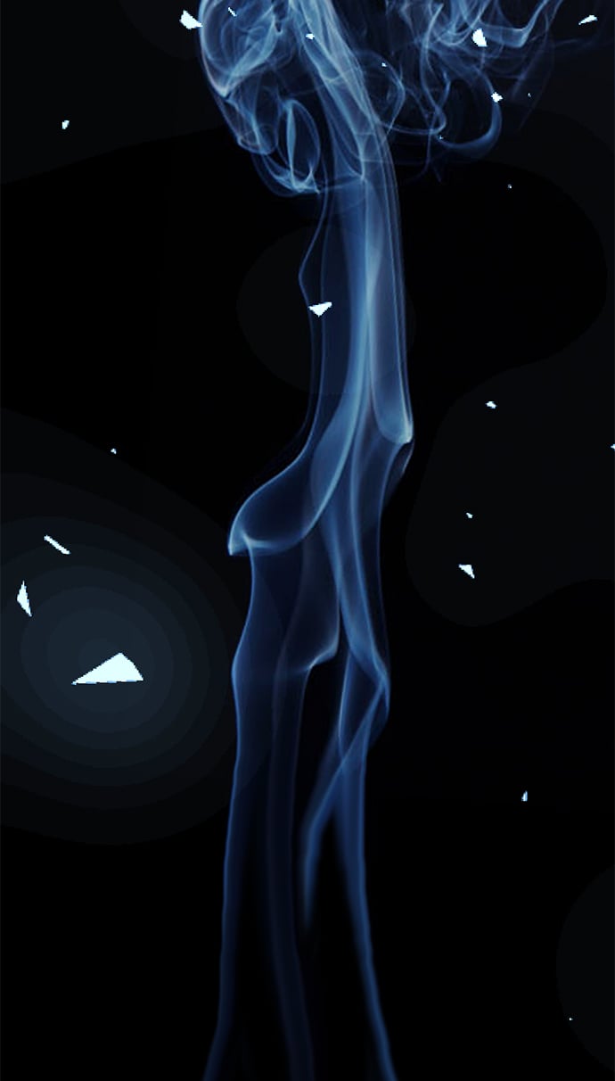 第 54 页