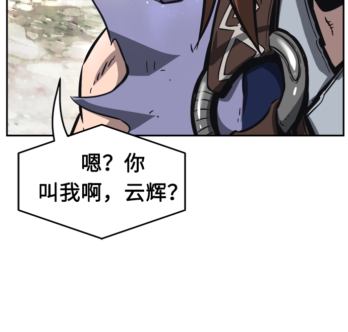 第 113 页