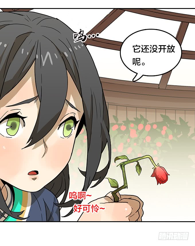 第 41 页