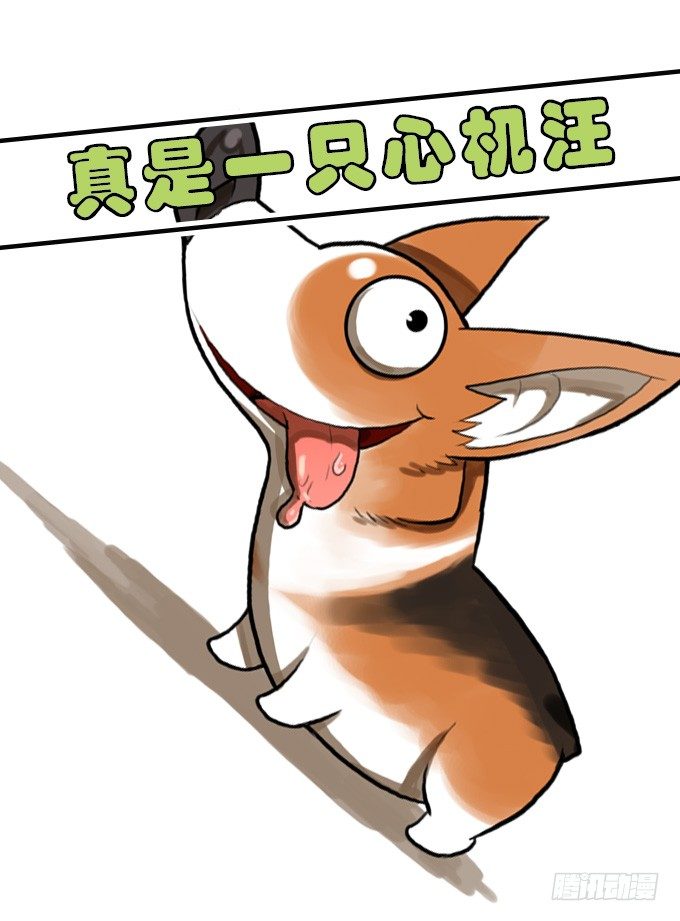 第 64 页