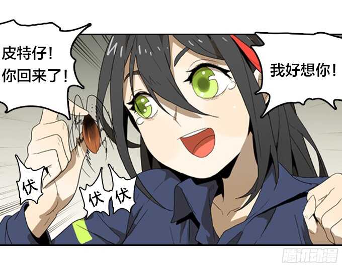 第 35 页