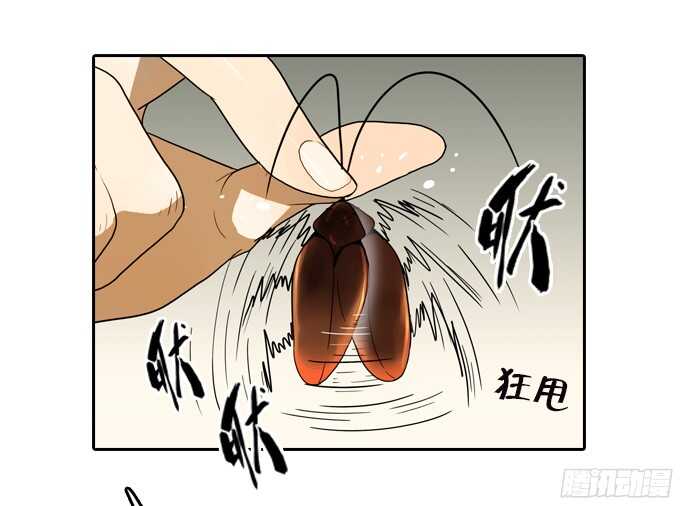 第 36 页