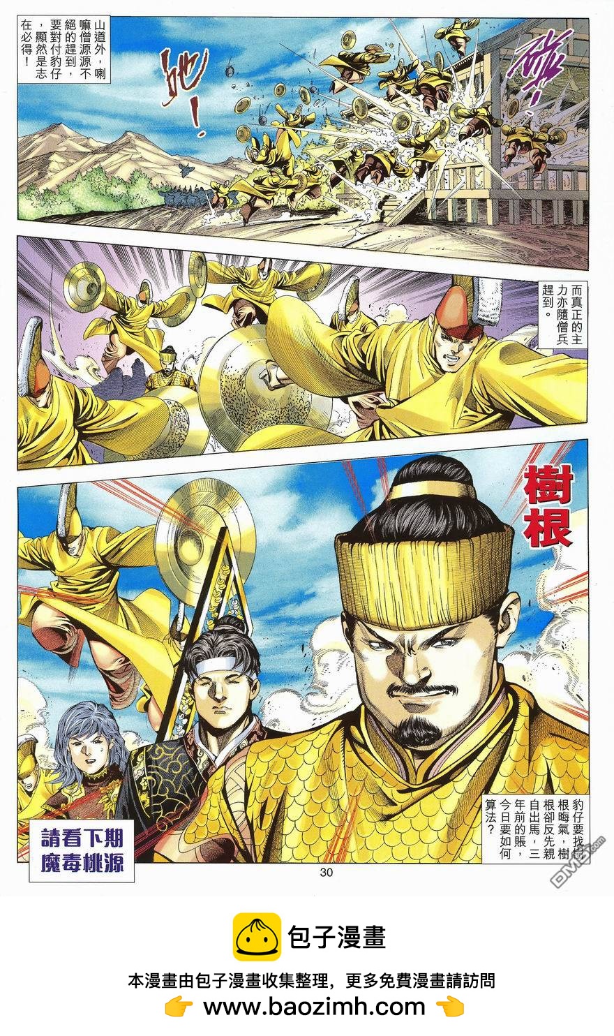第 30 页