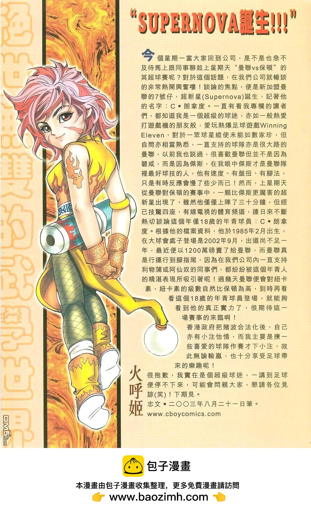 第 31 页