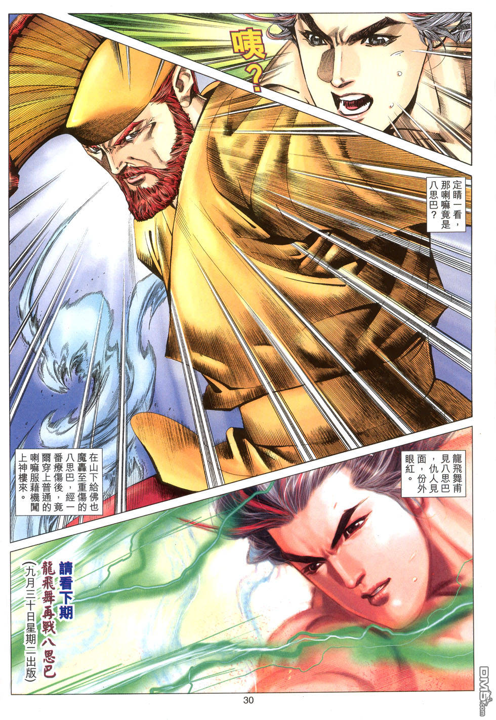 第 30 页