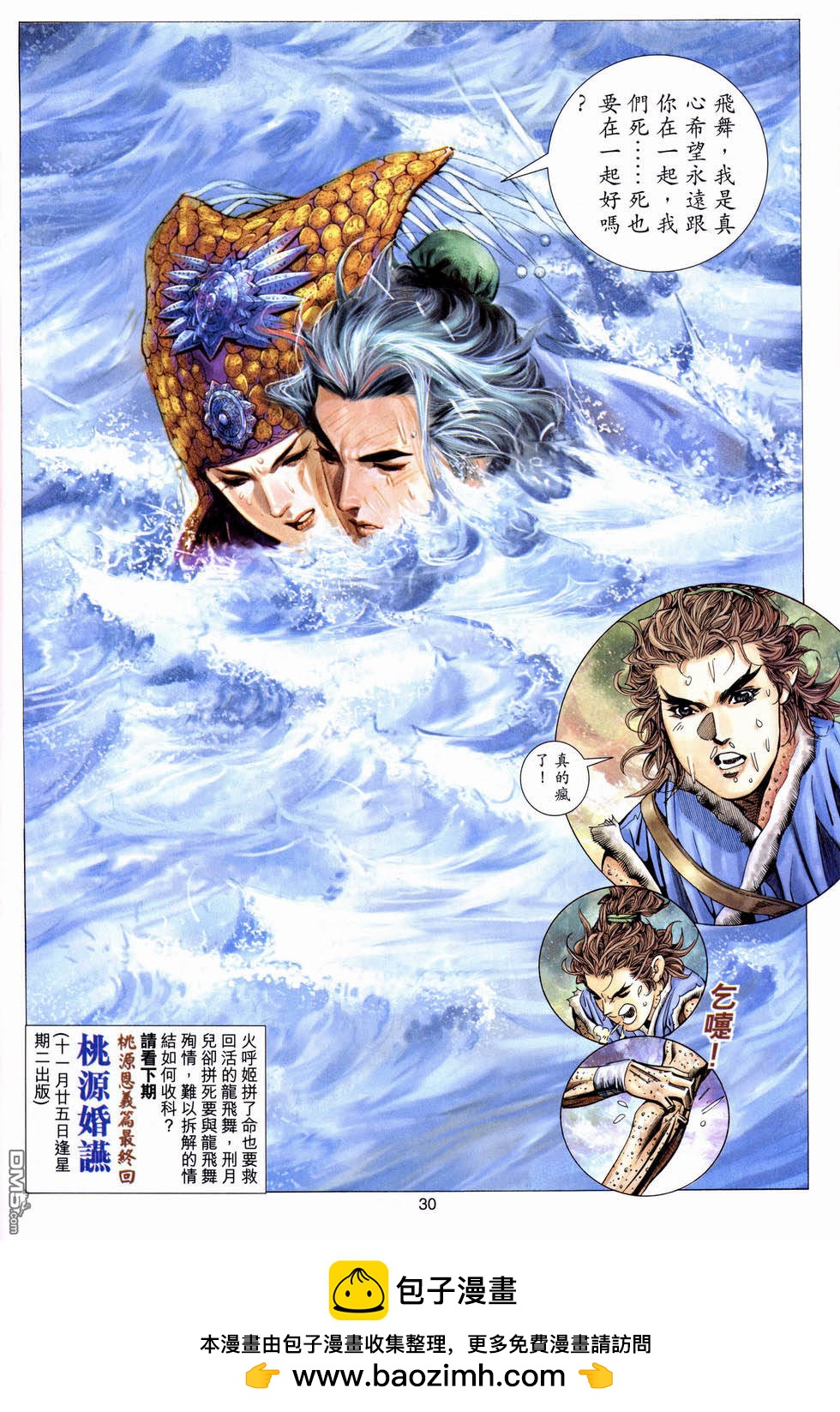 第 30 页