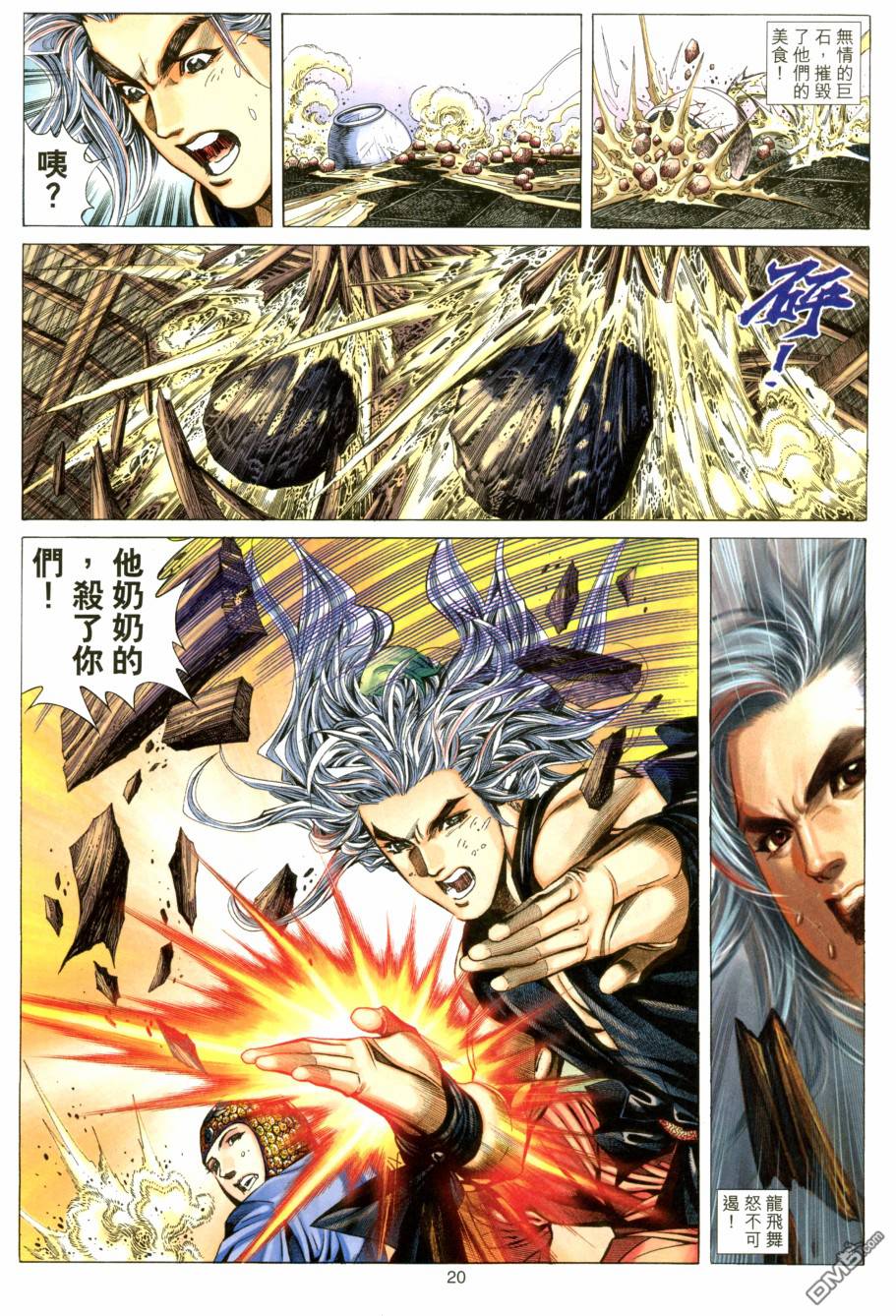 第 20 页