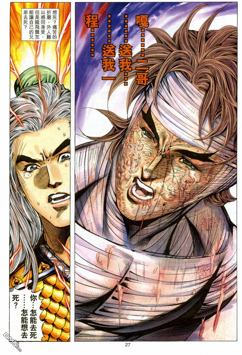 第 27 页