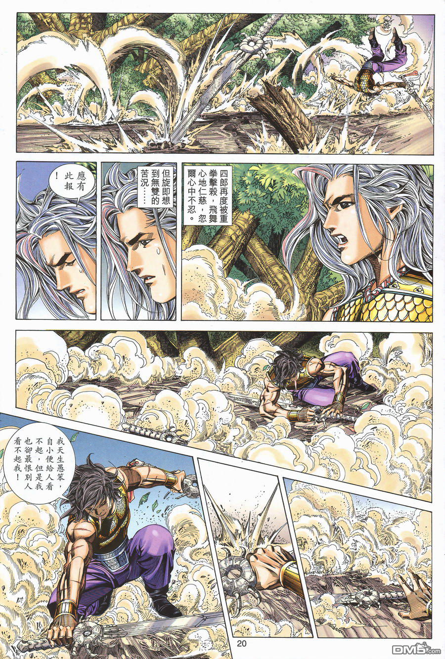 第 20 页