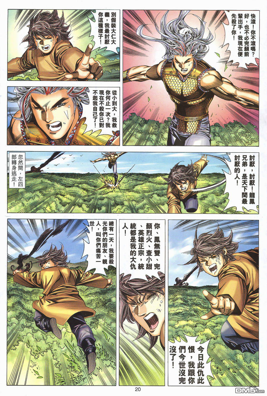 第 20 页
