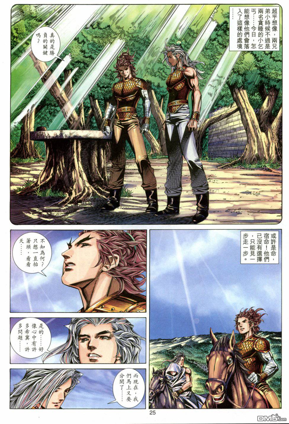 第 25 页