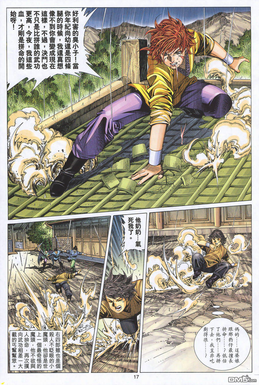 第 17 页