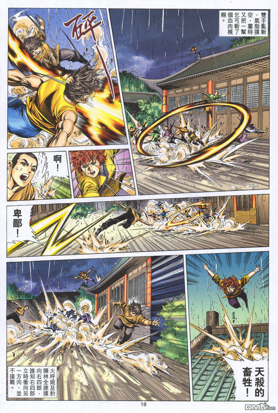 第 18 页