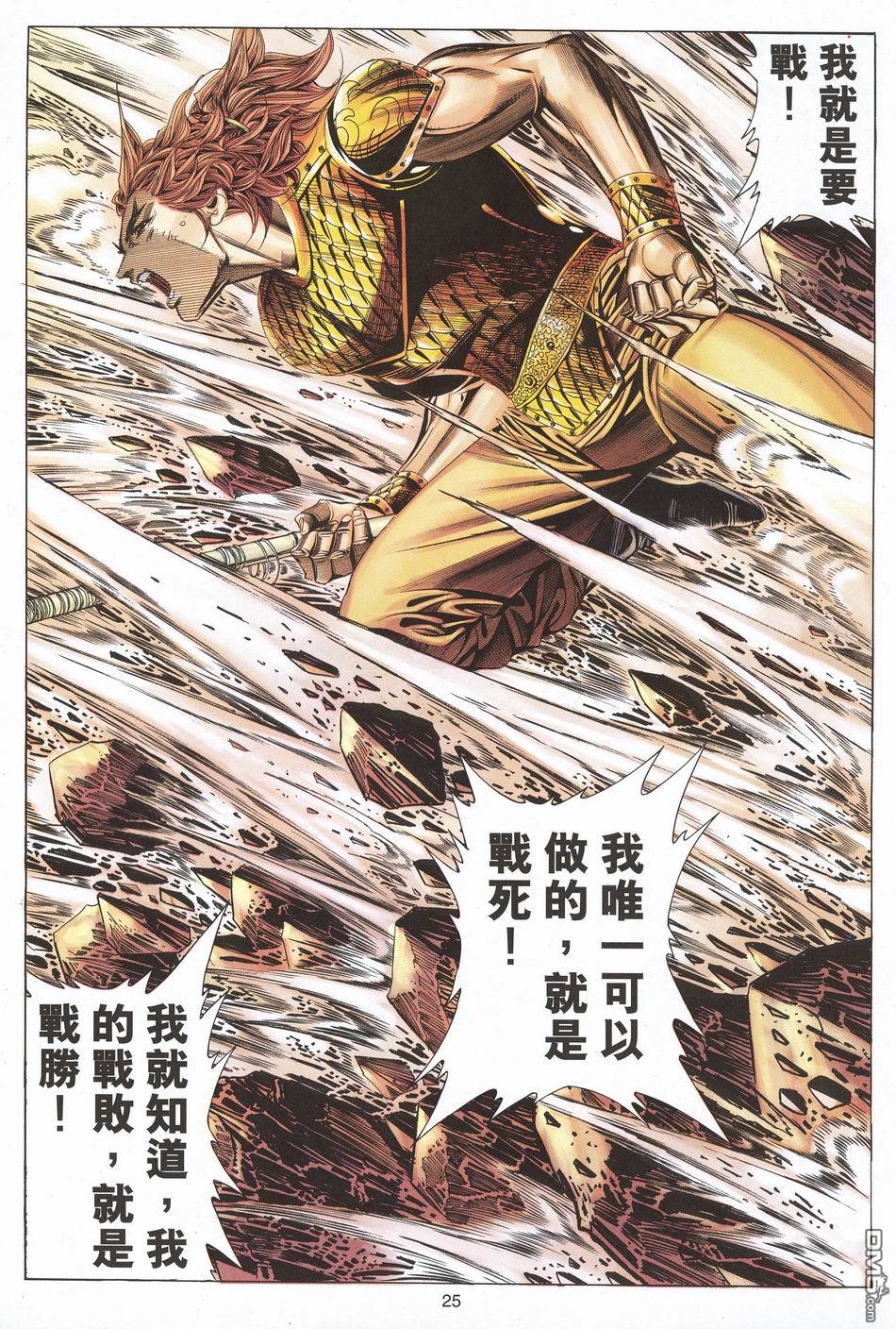 第 25 页