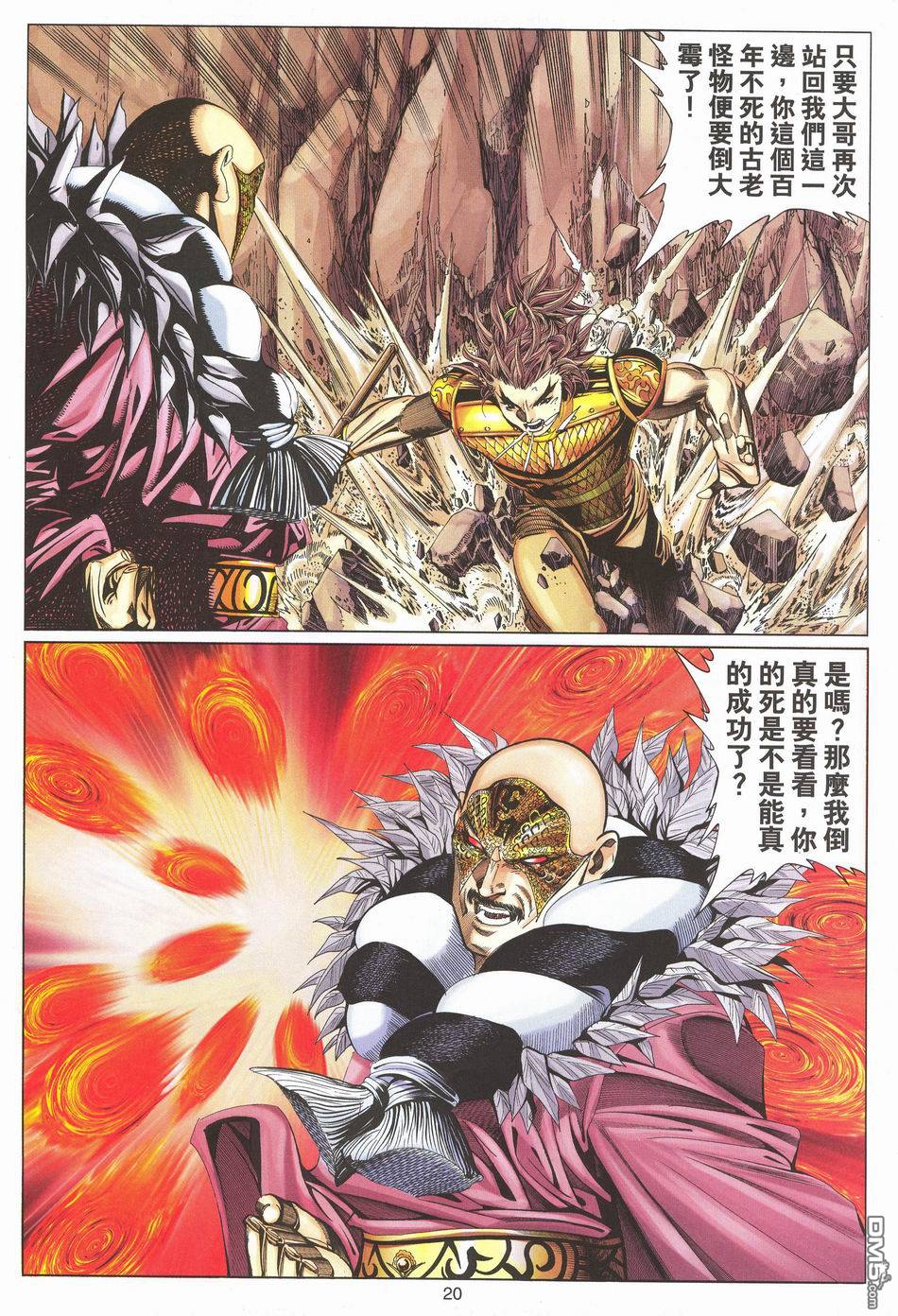 第 20 页