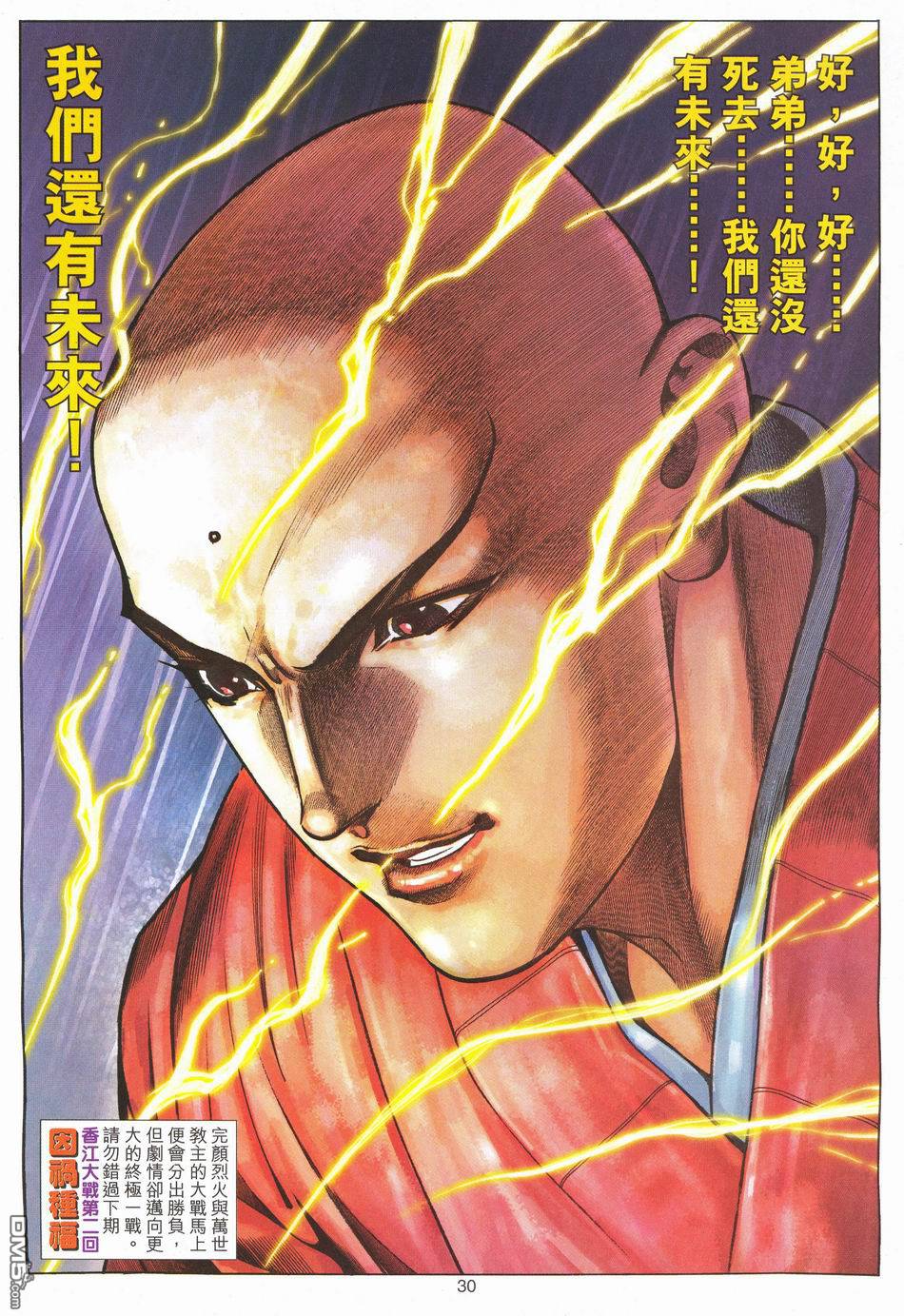 第 30 页
