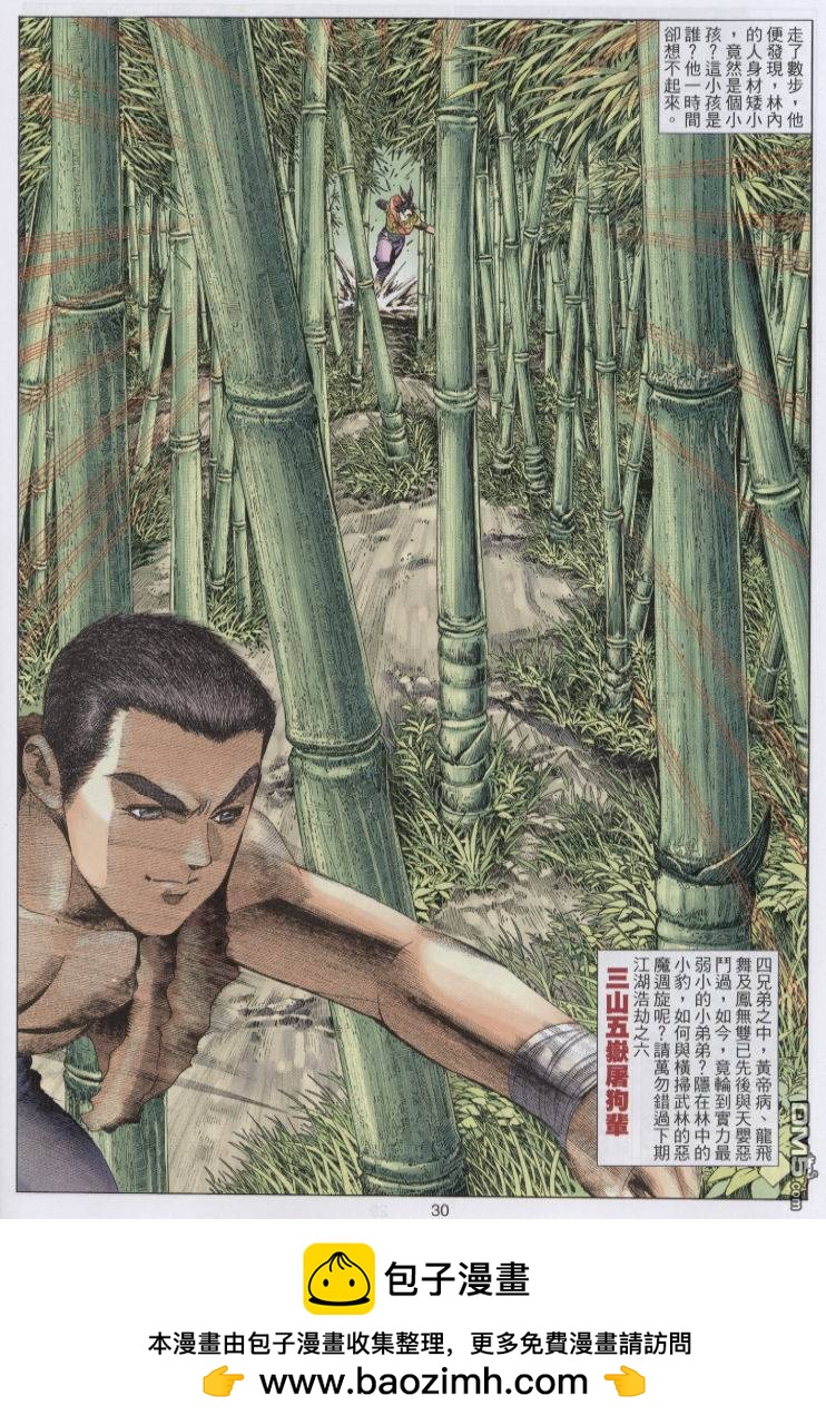 第 30 页