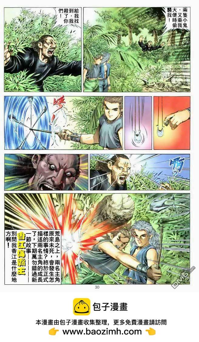 第 30 页
