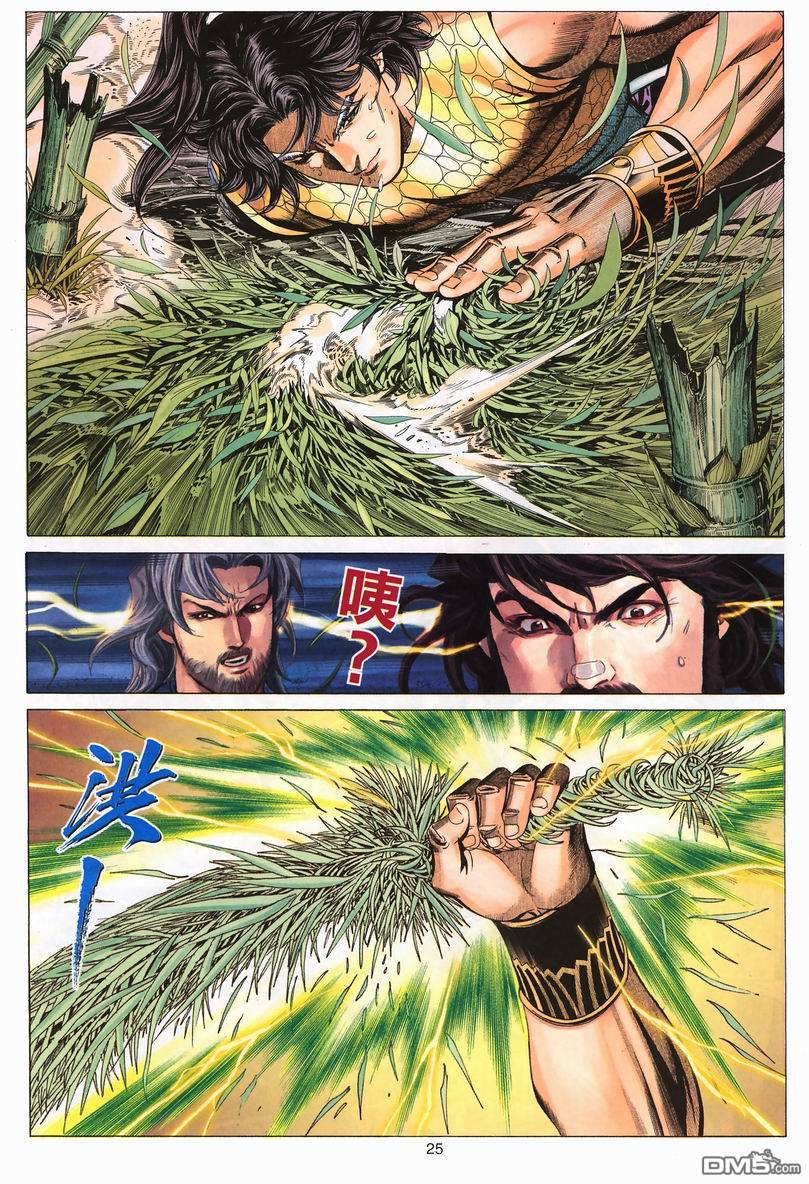 第 25 页