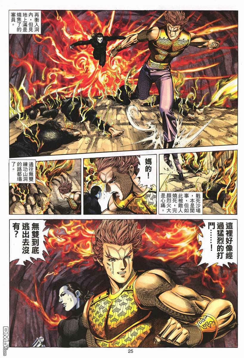 第 25 页