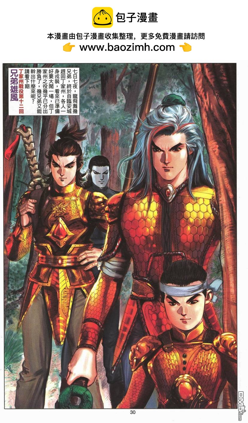 第 30 页