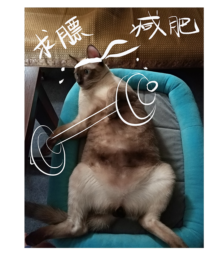 第 34 页
