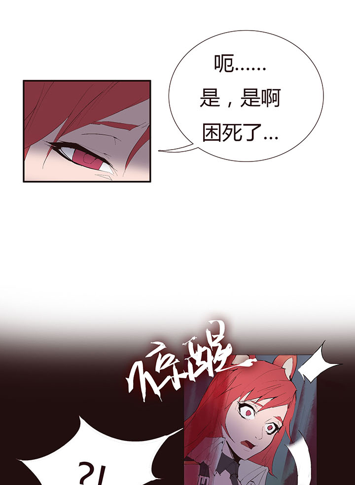 第 31 页