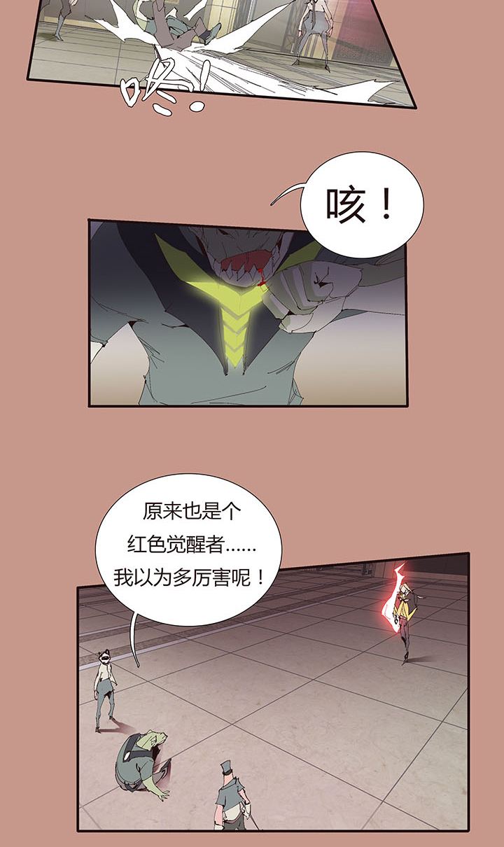 第 29 页